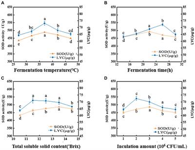 Optimization of tomato (Solanum lycopersicum L.) juice fermentation process and analysis of its metabolites during fermentation